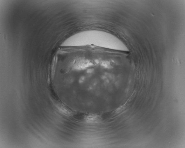 X0000075900175200609291741