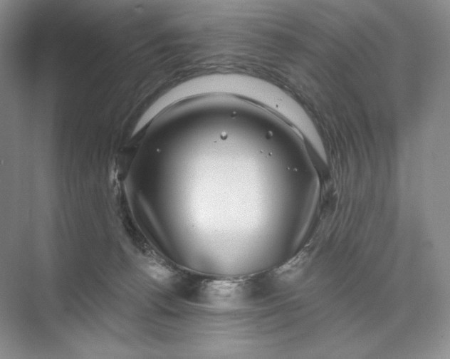 X0000075900176200609291741