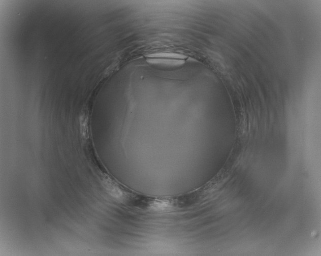 X0000075900177200609291741