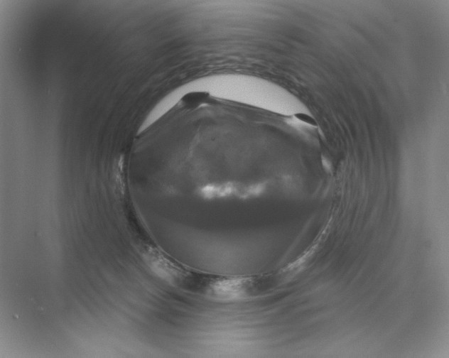 X0000075900178200609291741