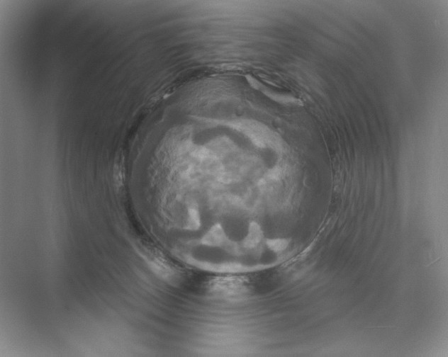 X0000075900179200609291741