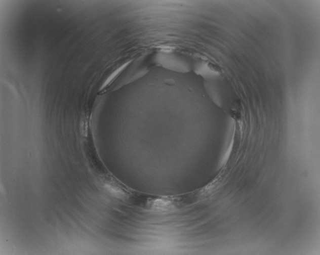 X0000075900180200609291741