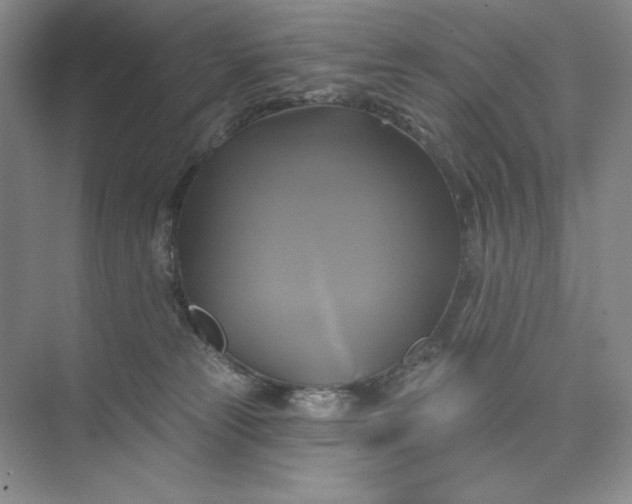 X0000075900181200609291741