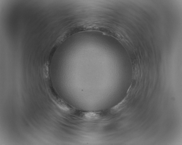 X0000075900183200609291741