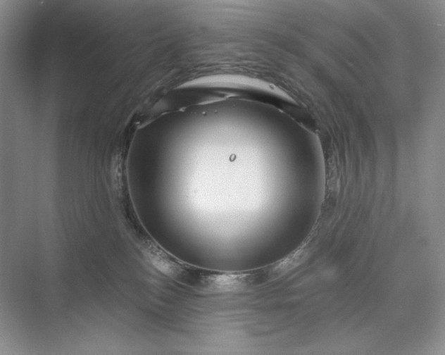 X0000075900184200609291741