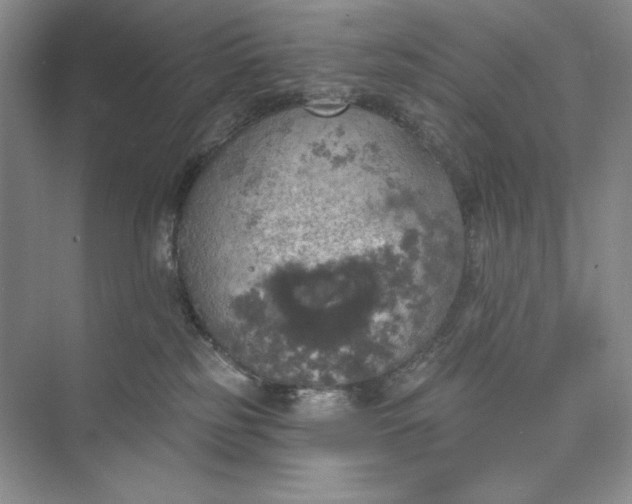 X0000075900185200609291741