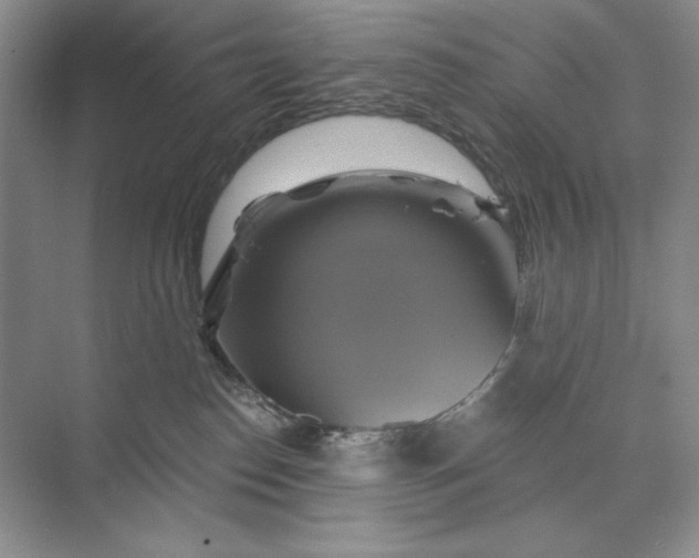 X0000075900186200609291741