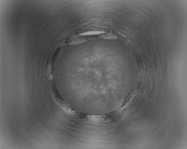 X0000075900187200609291741