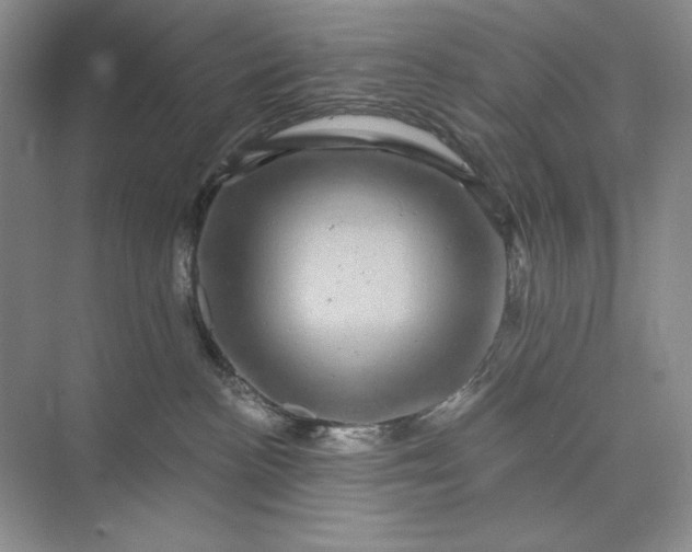 X0000075900188200609291741