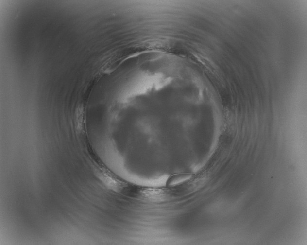 X0000075900189200609291741