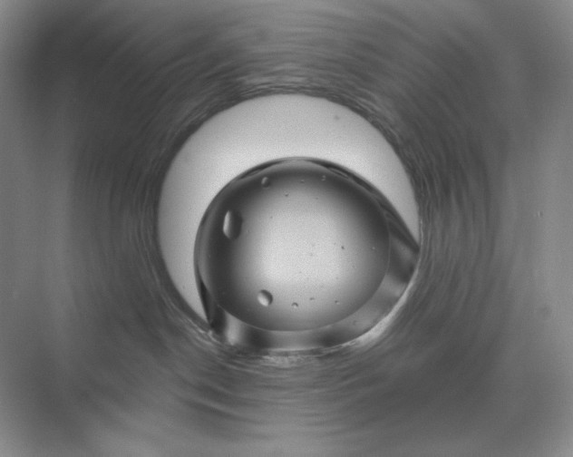 X0000075900190200609291741