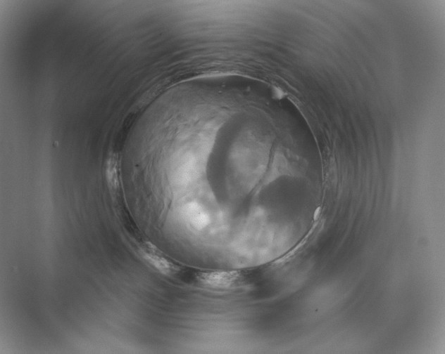 X0000075900191200609291741