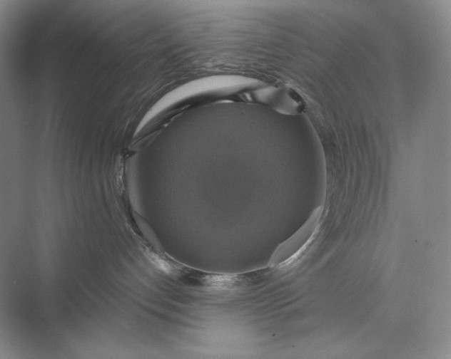 X0000075900192200609291741