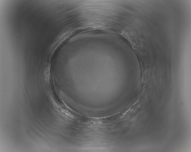 X0000075900194200609291741