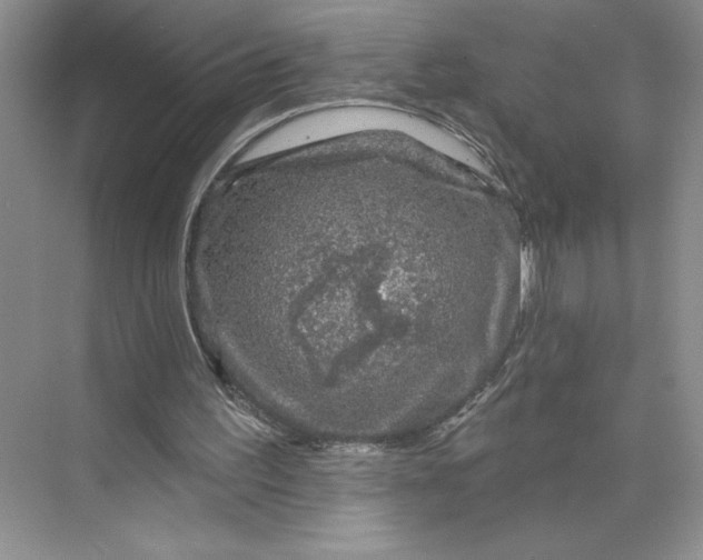 X0000075900195200609291741