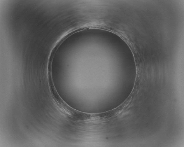 X0000075900196200609291741