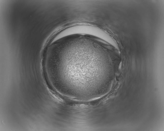 X0000075900197200609291741