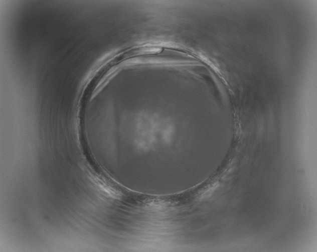 X0000075900199200609291740