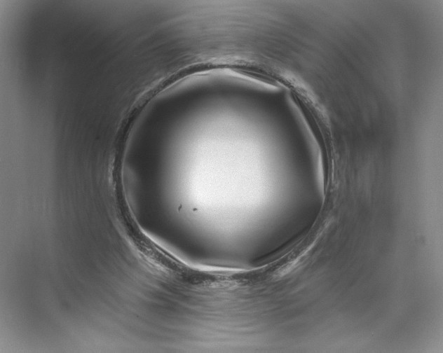 X0000075900201200609291740