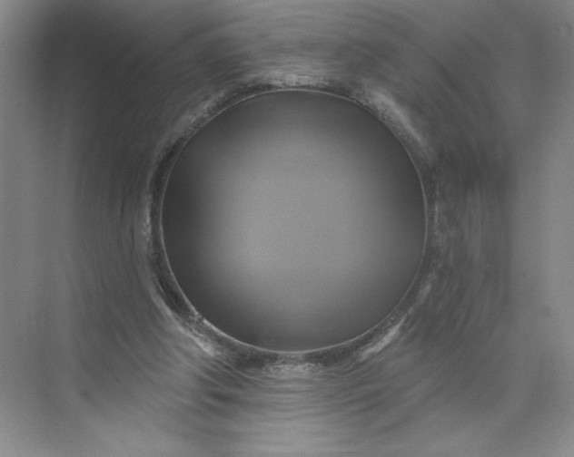 X0000075900202200609291740