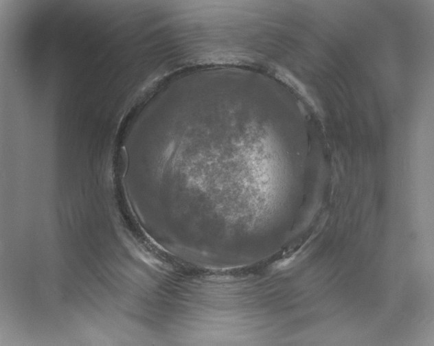 X0000075900203200609291740