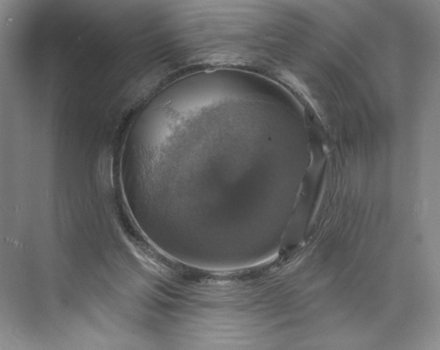 X0000075900205200609291740