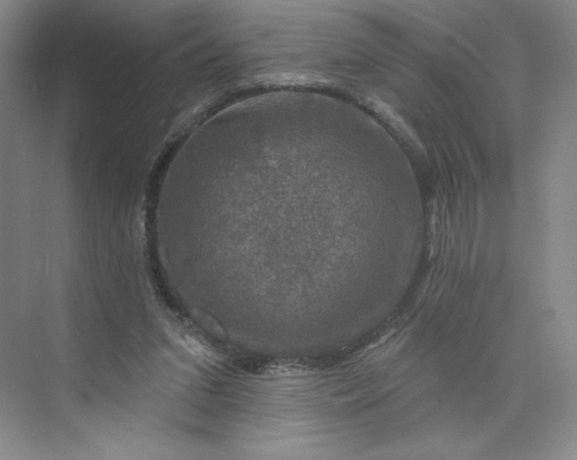 X0000075900207200609291740