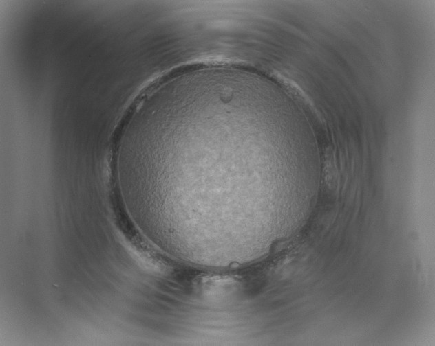 X0000075900208200609291740