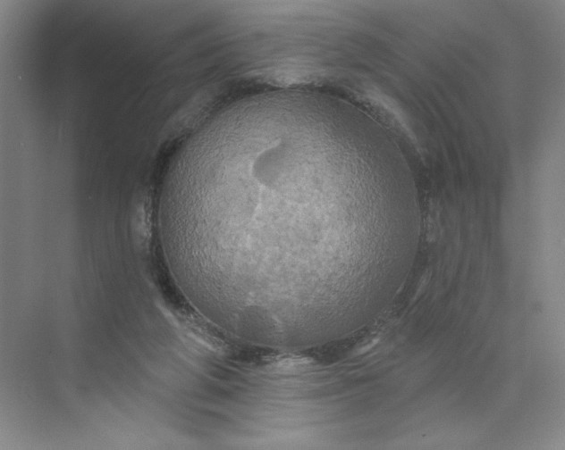 X0000075900210200609291740