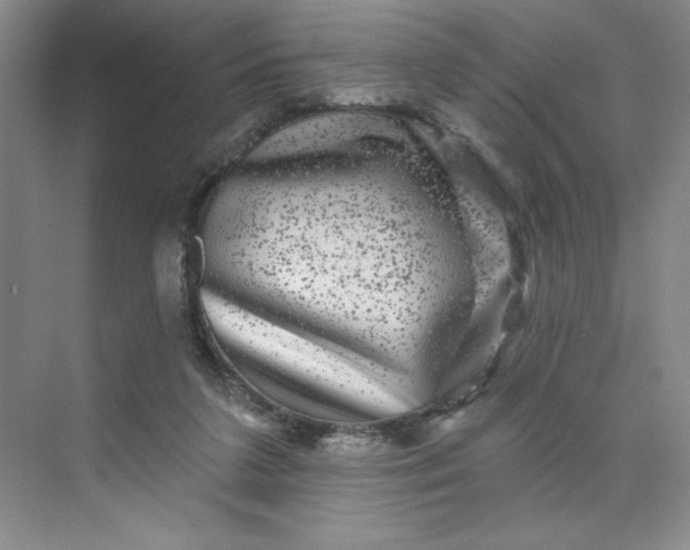 X0000075900211200609291740