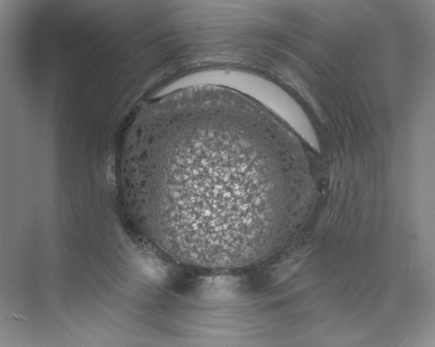 X0000075900212200609291740