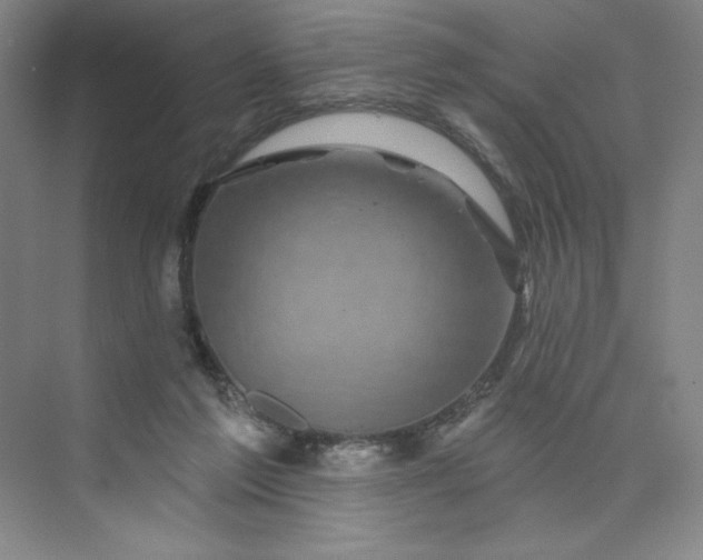 X0000075900213200609291740