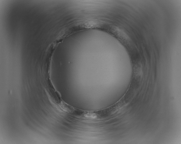 X0000075900214200609291740