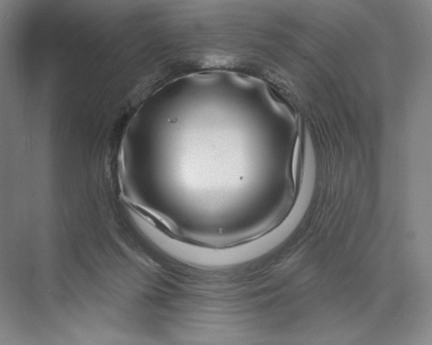 X0000075900215200609291740