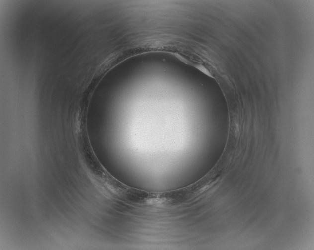 X0000075900216200609291740