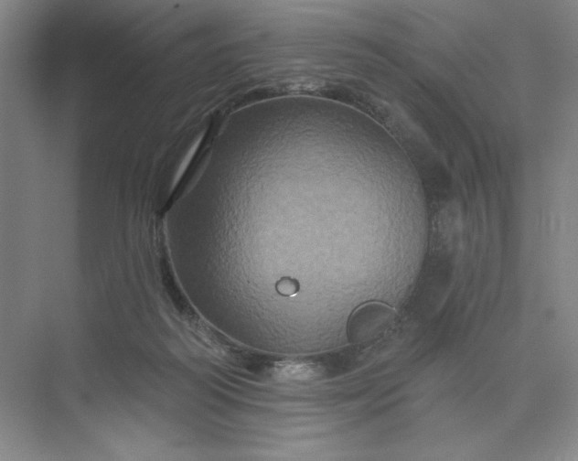 X0000075900218200609291740