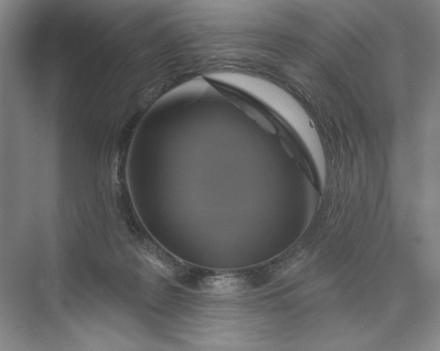 X0000075900219200609291740