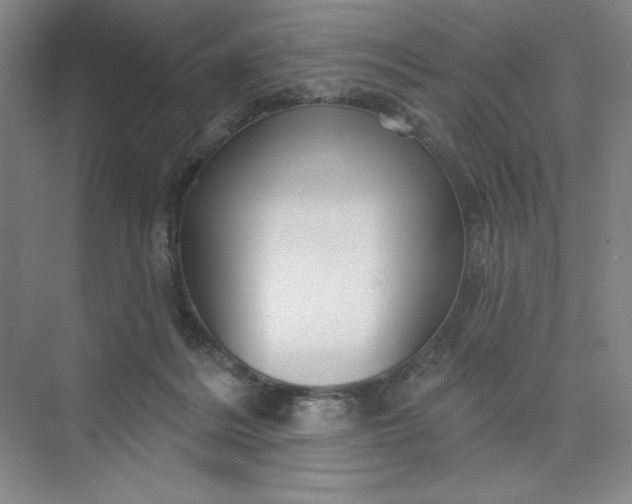 X0000075900220200609291740