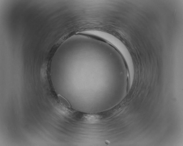 X0000075900221200609291740