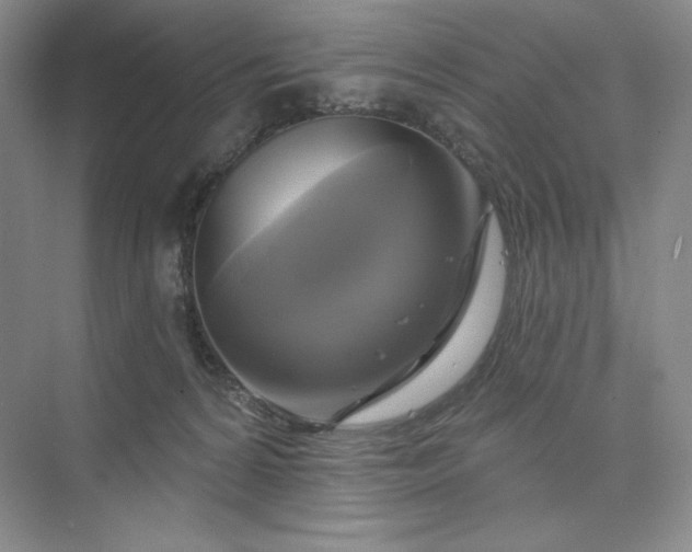 X0000075900224200609291740