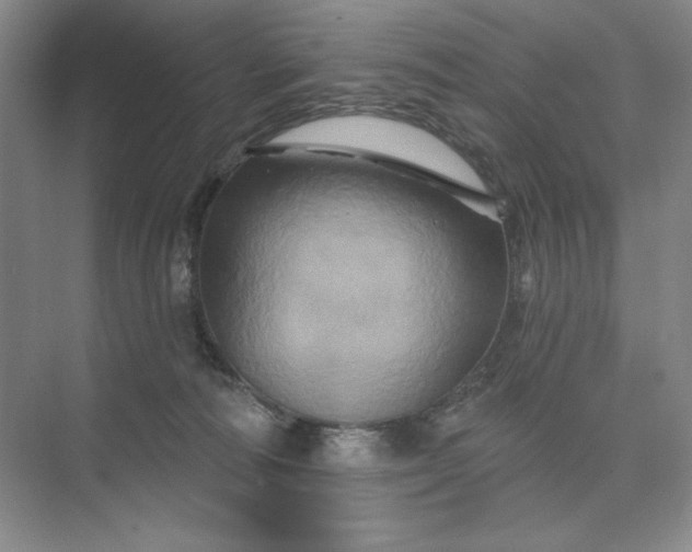 X0000075900226200609291740