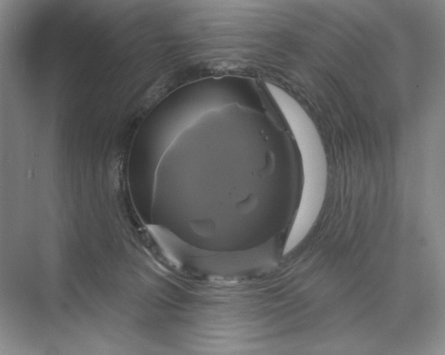 X0000075900227200609291740