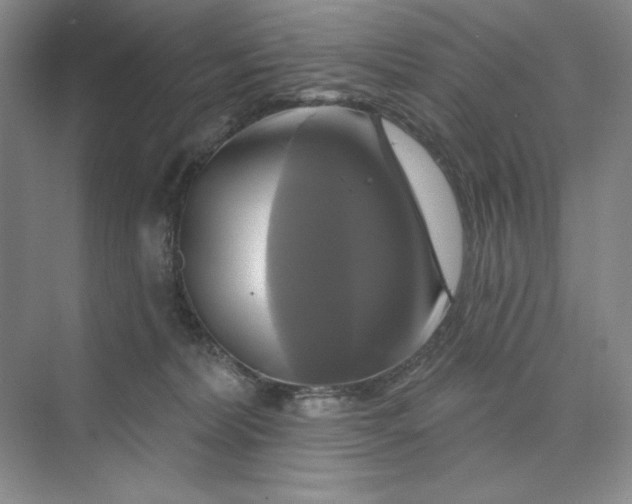 X0000075900228200609291740