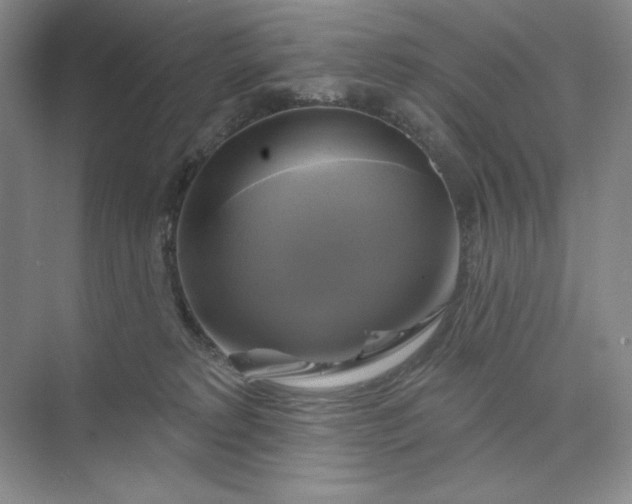 X0000075900229200609291740