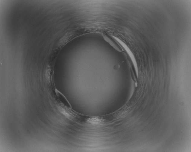 X0000075900231200609291740