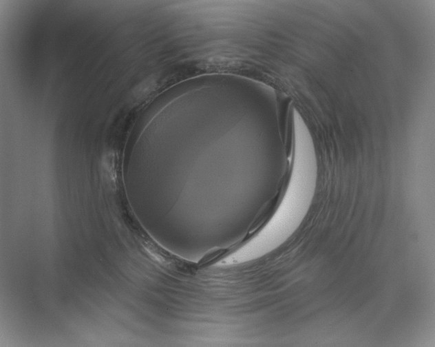 X0000075900232200609291740