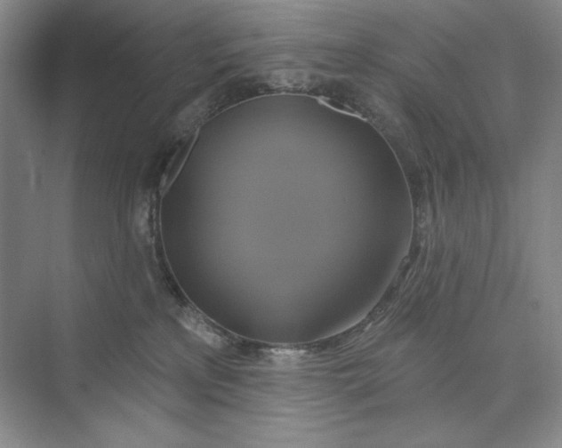 X0000075900233200609291740