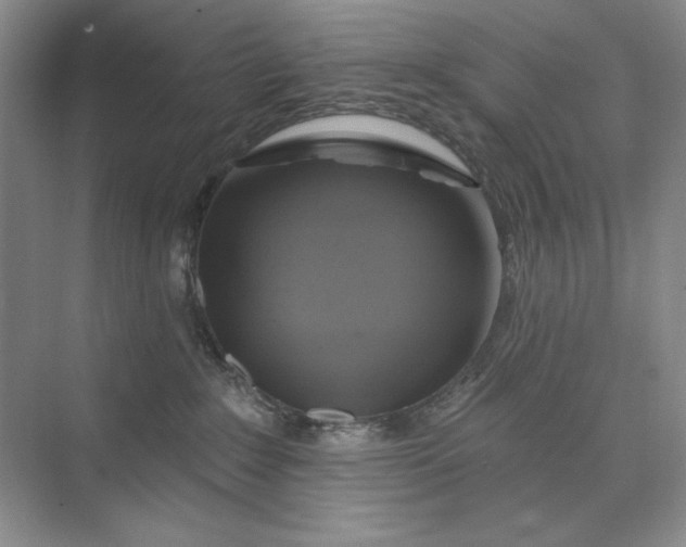 X0000075900235200609291740