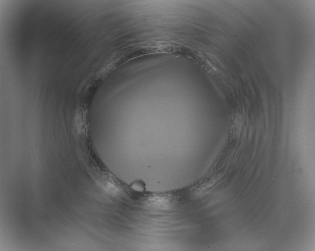 X0000075900236200609291740