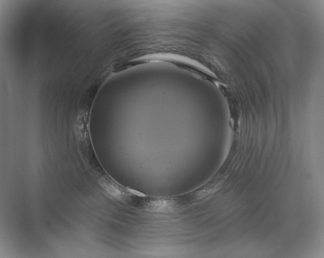 X0000075900237200609291740